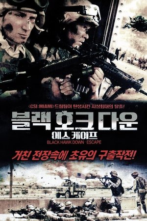 poster Black Hawk Down