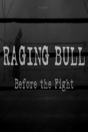 Raging Bull: Before the Fight (2005) | Team Personality Map