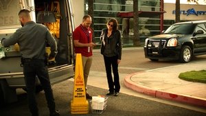 CSI: Crime Scene Investigation: 14×12