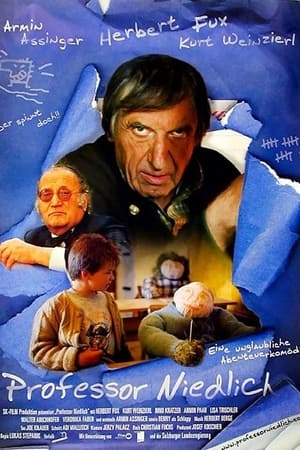 Poster Professor Niedlich (2001)