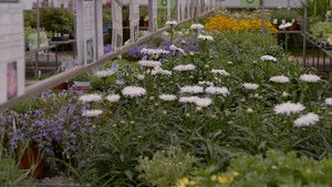 Ça vaut le coût: 6×23 {year} Online En Netflix