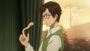 Parasyte: 1×2