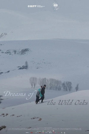 Dreams of the Wild Oaks