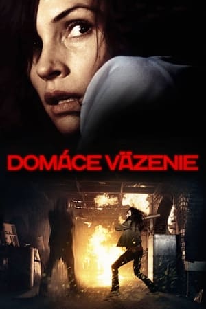 Poster Domáce väzenie 2008