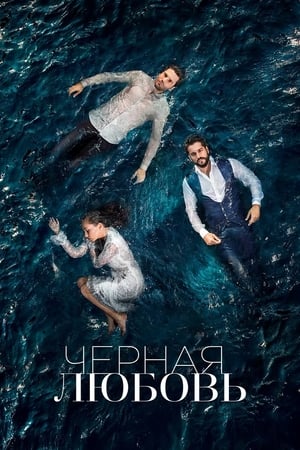 Poster Чёрная любовь Сезон 2 Эпизод 38 2017