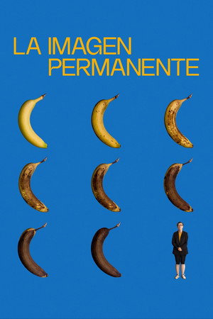The Permanent Picture 11