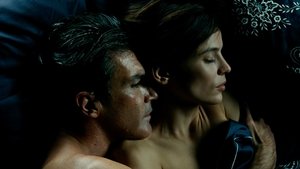 The Skin I Live In (2011)