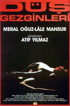 Düş Gezginleri poster