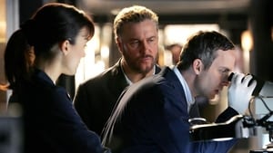 CSI – Scena del crimine: Stagione 8 x Episodio 13