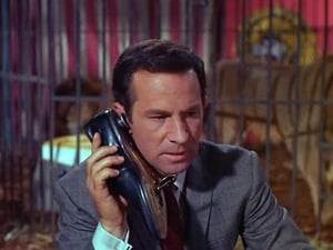 Get Smart: 2×10