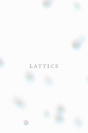 Poster Lattice