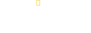 Segredos dos Pinguins — Logos 4