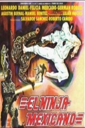Poster El ninja mexicano 1991