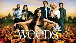 poster Weeds