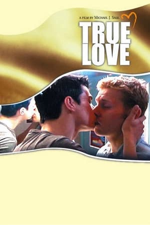 Poster True Love (2004)