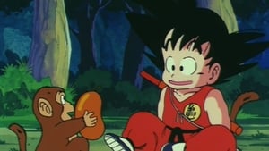 Dragon Ball Season 1 Episode 33