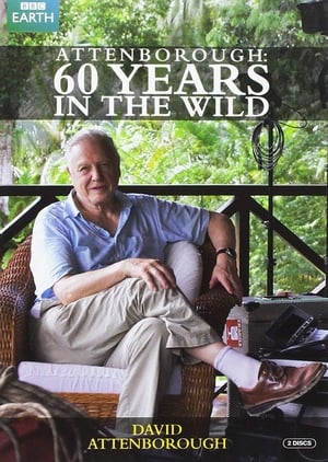 Attenborough: 60 Years in the Wild 10
