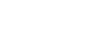 Belas da noite — Logos 4