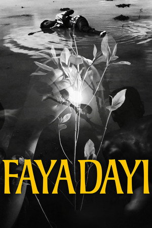 Faya Dayi