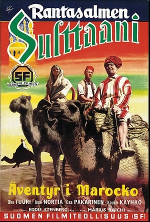 Poster Rantasalmen sulttaani 1953