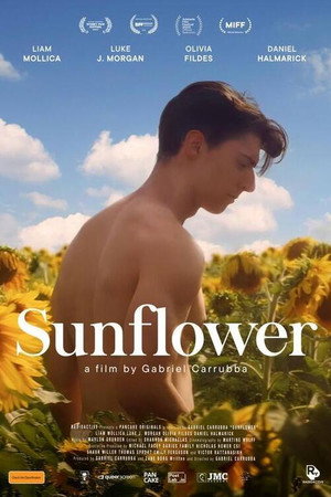 Sunflower 18