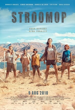 Poster Stroomop 2018