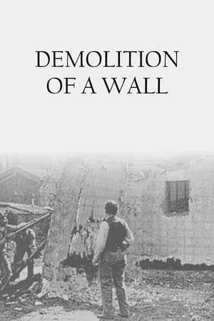 Poster Demolition of a Wall (1896)