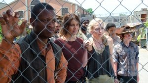 The Walking Dead: 4×8