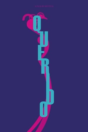 Poster Querido (2014)