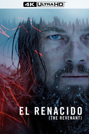poster The Revenant