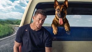 Dog. Un viaje salvaje Película Completa HD 1080p [MEGA] [LATINO] 2022