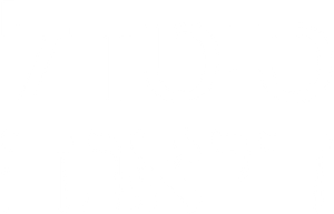 Citadel: Diana — Logos 4