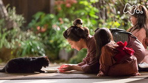 Episódio 2 - Eu sou um gato - Wife of Soseki Natsume