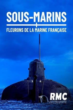 Poster Sous-marins, fleurons de la marine française (2017)