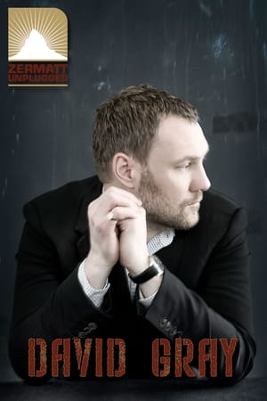 Image David Gray: Zermatt Unplugged