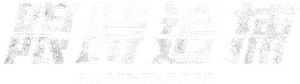 Sede Assassina — Logos 12