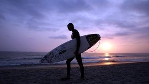 Des moutons et des surfeurs