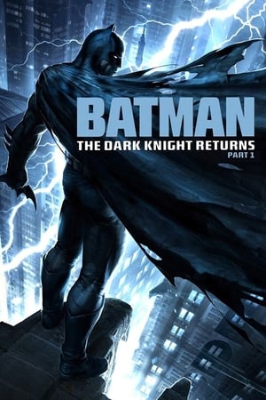 Batman: The Dark Knight Returns, Teil 1 Film