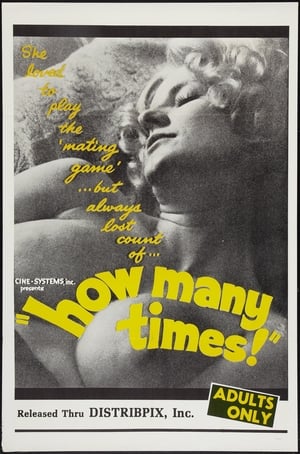 Poster How Many Times 1969