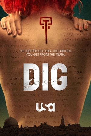 Dig (2015)