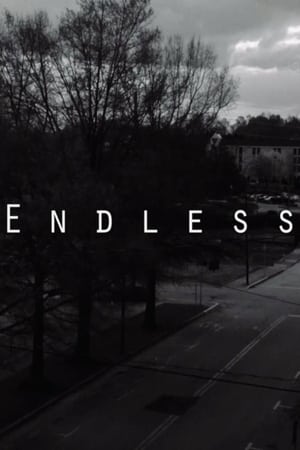 Poster Endless (2016)