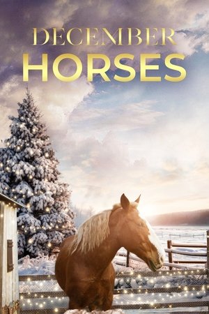 Image December Horses