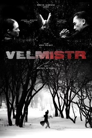 Image Velmistr