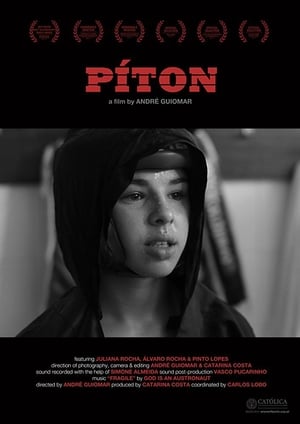 Poster Píton (2011)