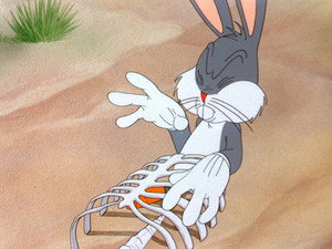 Bugs Bunny Gets The Boid
