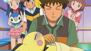 S13E33 Pierre, docteur Pokémon !