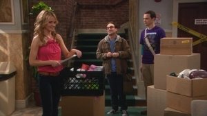 The Big Bang Theory 2 x Episodio 19