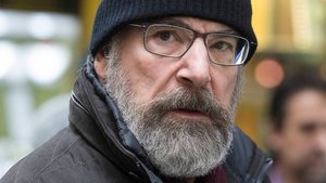 Homeland: A belső ellenség 6. évad 10. rész