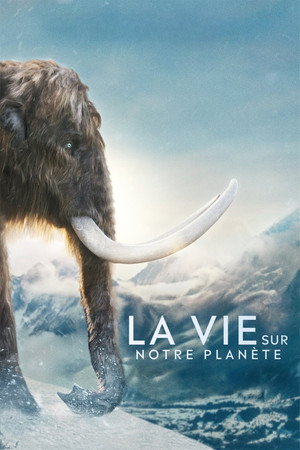 Life on Our Planet 19