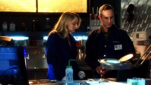 CSI: Crime Scene Investigation: 13×8